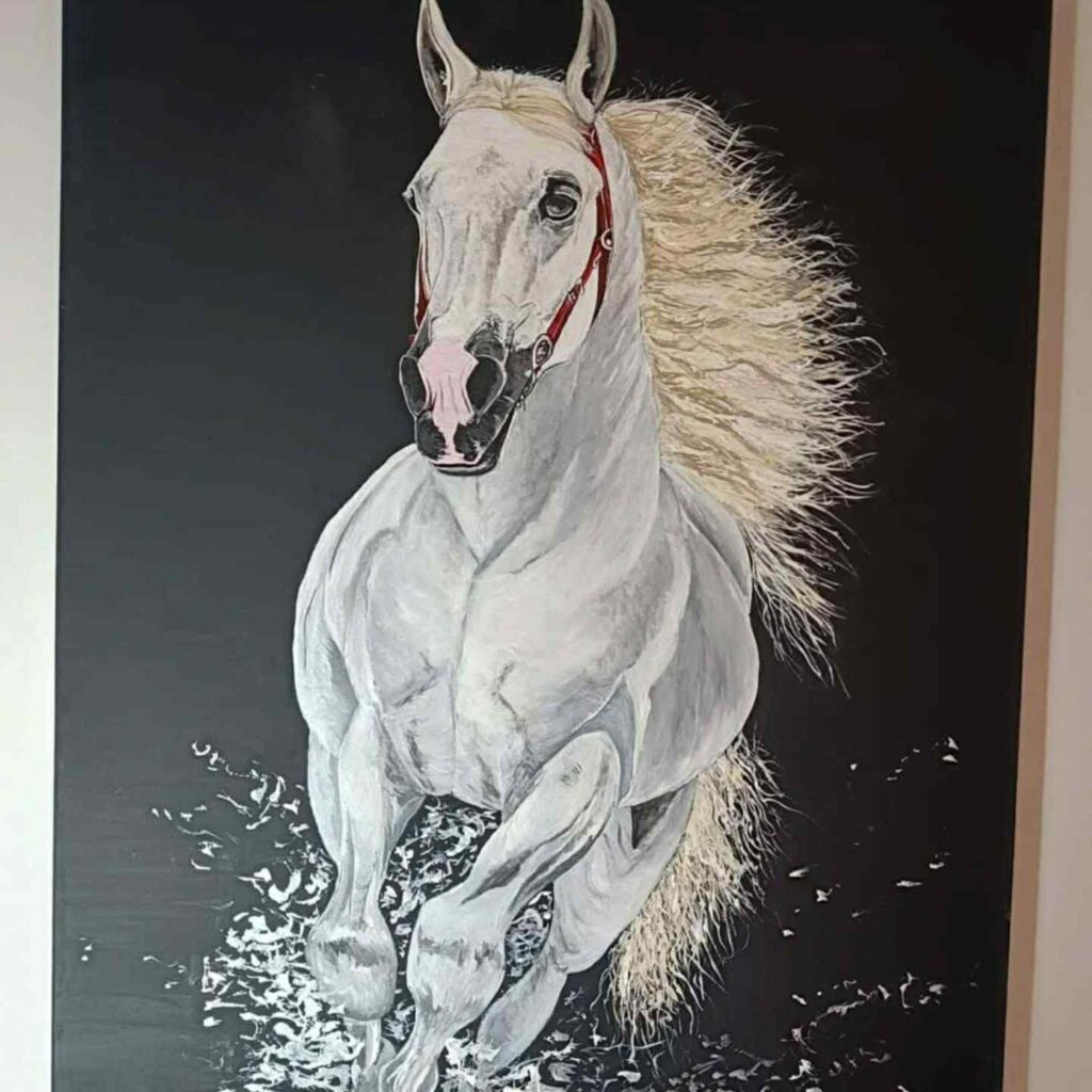 Malowanie Obrazów Przasnysz